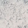 Blanca Statuarietto Quartz Countertop