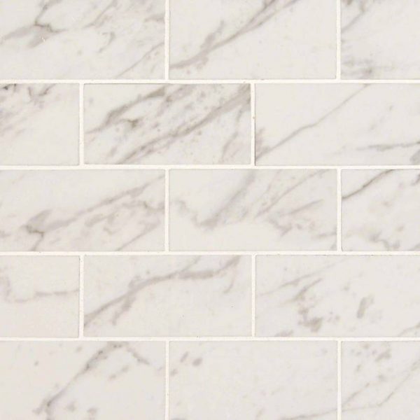 Pietra Carrara 2x4 Porcelain Tile