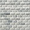 Carrara White 1x3 Herringbone Polished