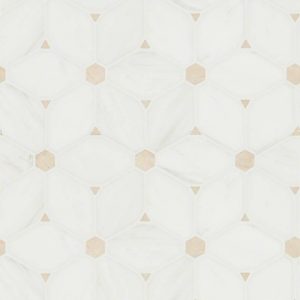 Cecily Pattern Polished Backsplash Tile