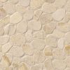 Coastal Sand 2x2 Honed