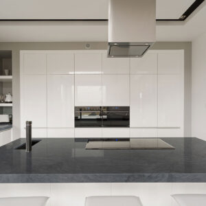MSI Platinum Black Quartzite